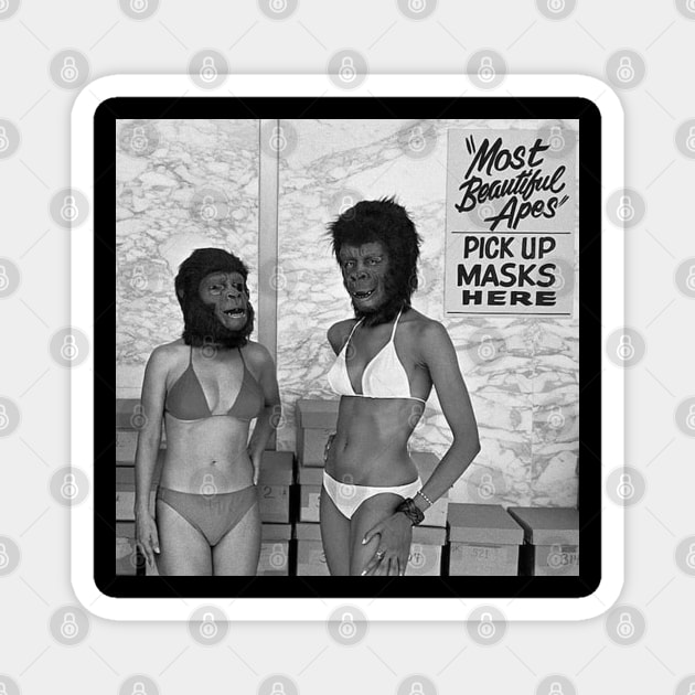 Planet Of The Apes Beauty Contest, Center City California 1973 Magnet by SDM900