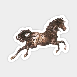 Appaloosa horse Magnet