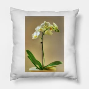 Orchid Pillow