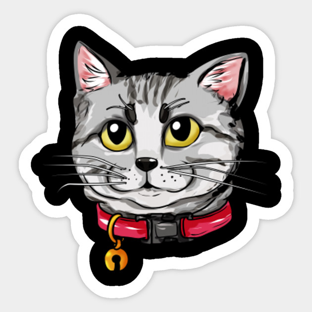 American Shorthair Cat Face Cats Kitty Love Gift American