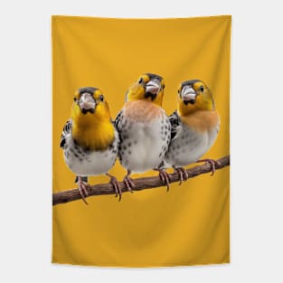 Three Finches on a Branch Tapestry