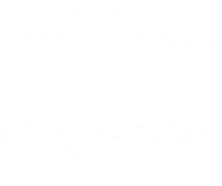 born to dive Magnet