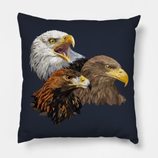 Pigargos and Eagle Pillow