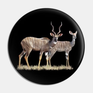 Lesser Kudu - Pair, Antelope, Kenya / Africa Pin