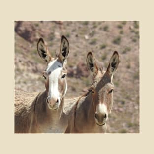 Wild Burros, donkeys, wildlife, Arizona Babes T-Shirt