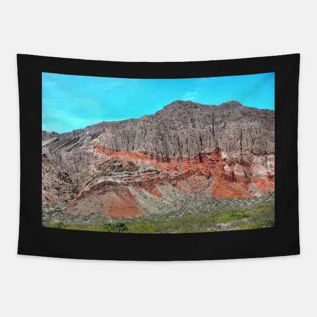 Argentine - Quebrada de las Conchas Tapestry by franck380