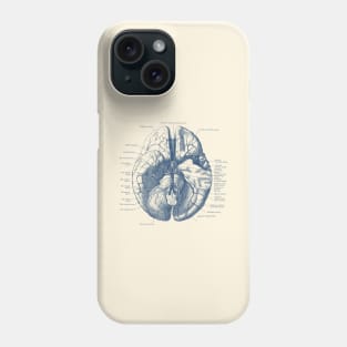 Human Brain Diagram - Anatomy Phone Case