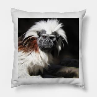 Cotton-top Tamarin Pillow