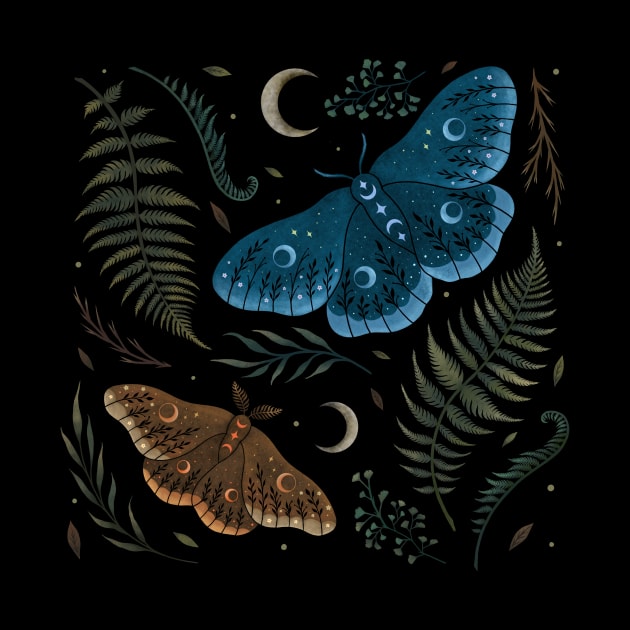 Moths and Ferns by Episodic Drawing