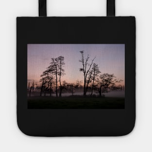 Dusk Tote