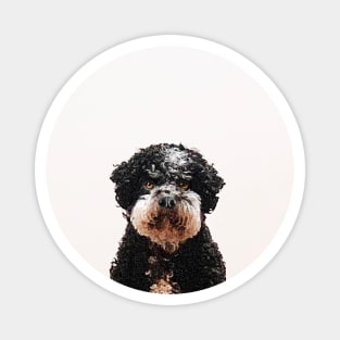 Buster the Havanese Dog Magnet