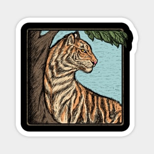 The Tiger Magnet