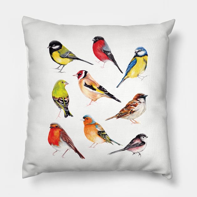 British Garden Birds Collection Pillow by AmandaDilworth