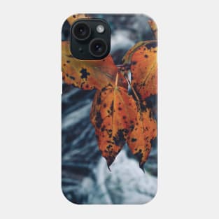 Bright Orange Fall Leaves Phone Case