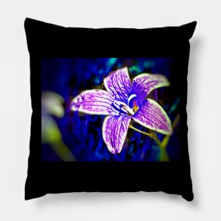 Bellflower Pillow