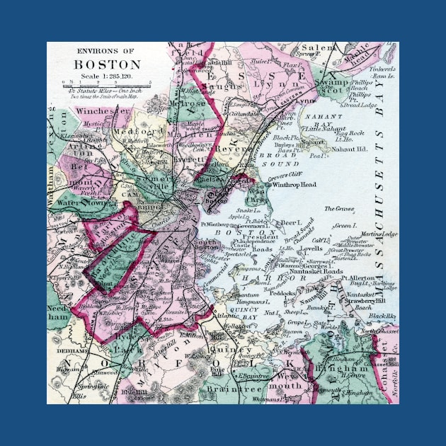 1875 Map of Boston and Environs by historicimage