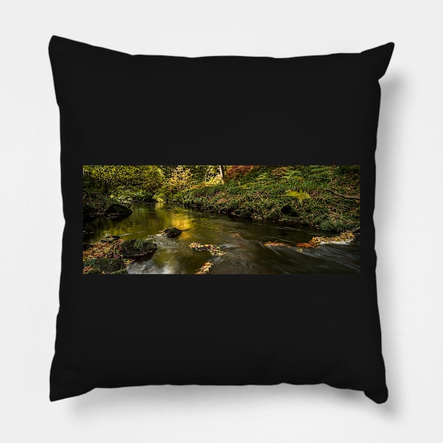 West Beck, Gothland, North Yorkshire Pillow by davehudspeth