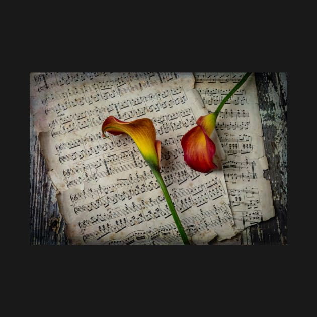 Calla Lillies On Sheet Music by photogarry