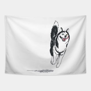 HuskyJumping Tapestry