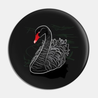 Black swan illustration Pin