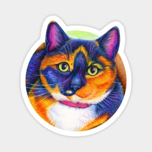 Colorful Calico Cat Magnet