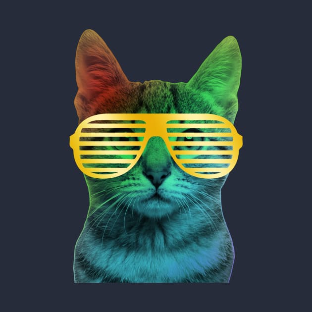 Funk Cat by mg88