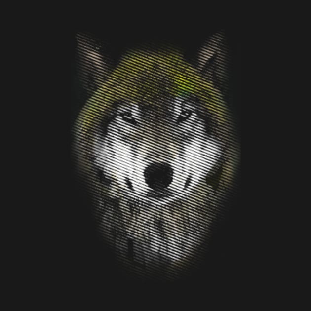 beautiful wolf by gupikus