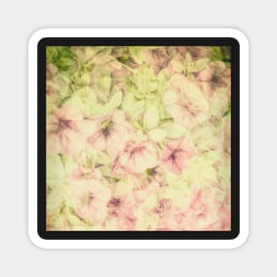 Soft Pink Flowers textured photo art Magnet