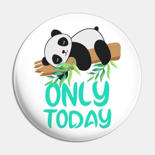 Lazy panda,lazy day for lazy moments in our life. Pin