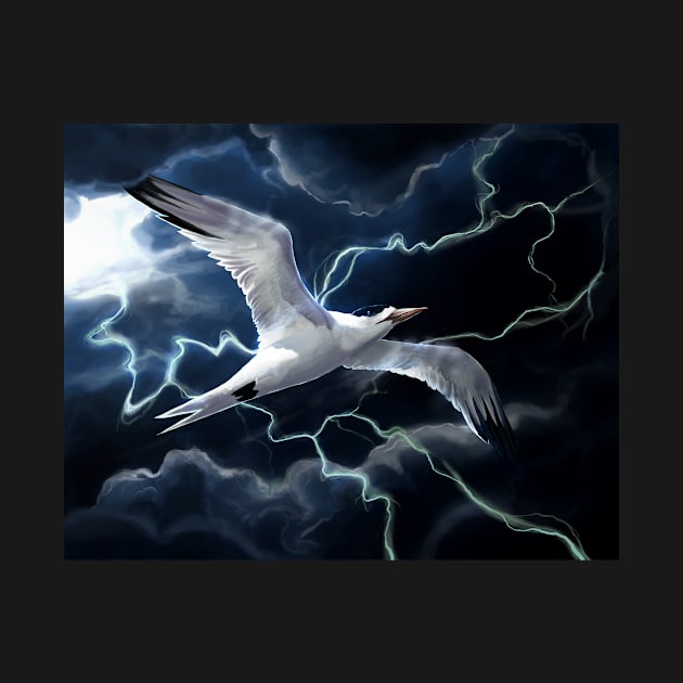 Storm Bird by Ashdoun