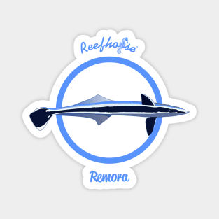 Remora Magnet