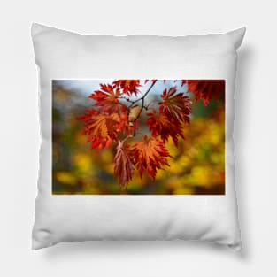 autumn garden Pillow