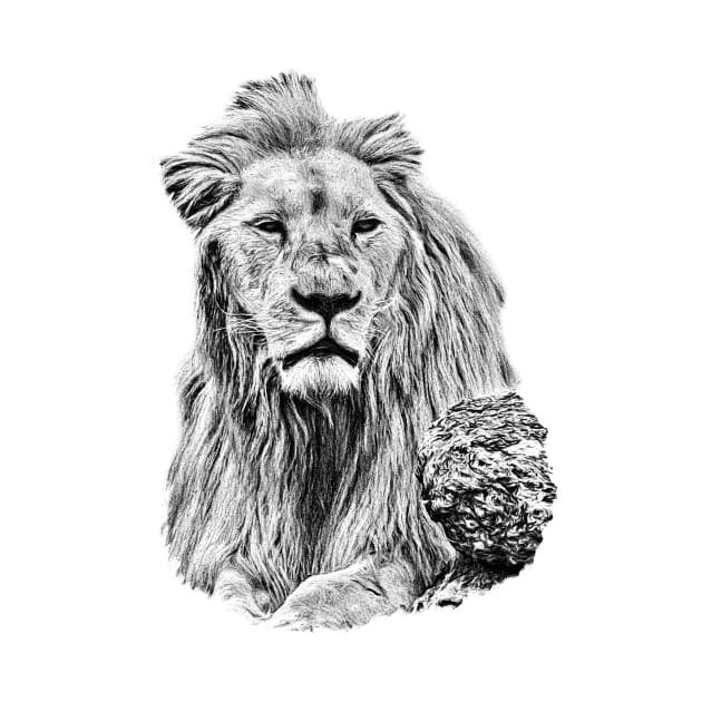 Lion portrait by Guardi