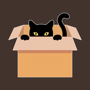 Cat in a box T-Shirt