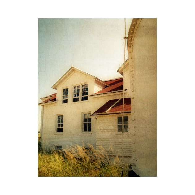 Lighthouse and Beach Grass by michelle1991