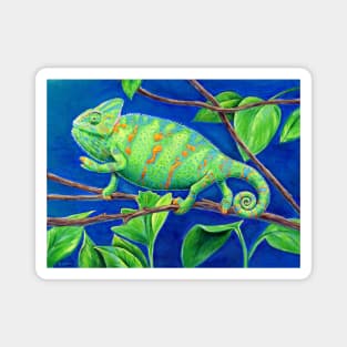 Veiled Chameleon Magnet