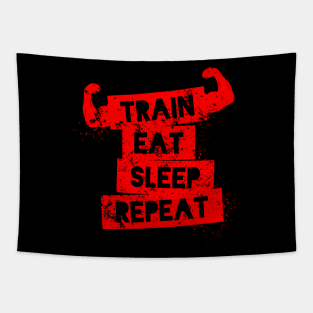 Train Eat Sleep Repe Tapestry