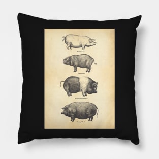 4 pigs Pillow
