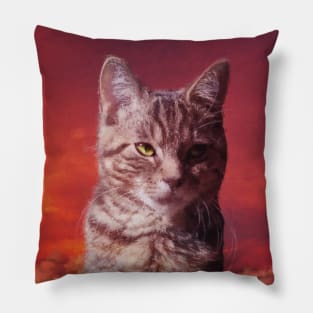 Grey tabby cat in the red sky Pillow