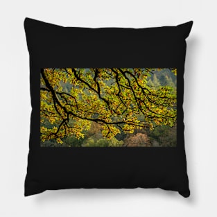 Little Langdale Leaves Pillow