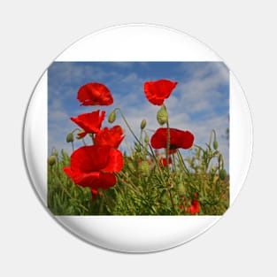 Poppies Pin