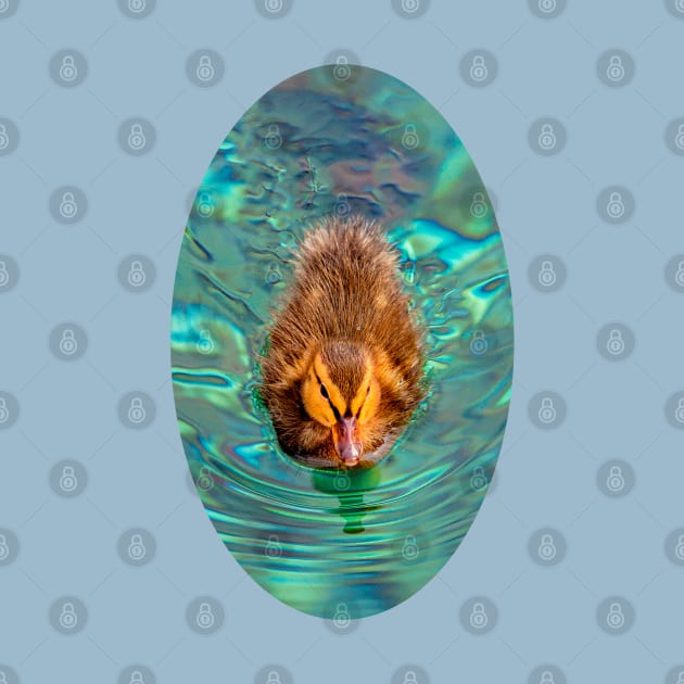 Duckling in the ripples by dalyndigaital2@gmail.com