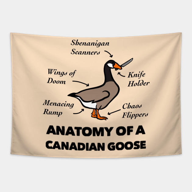 Canada goose 80 off knives sale