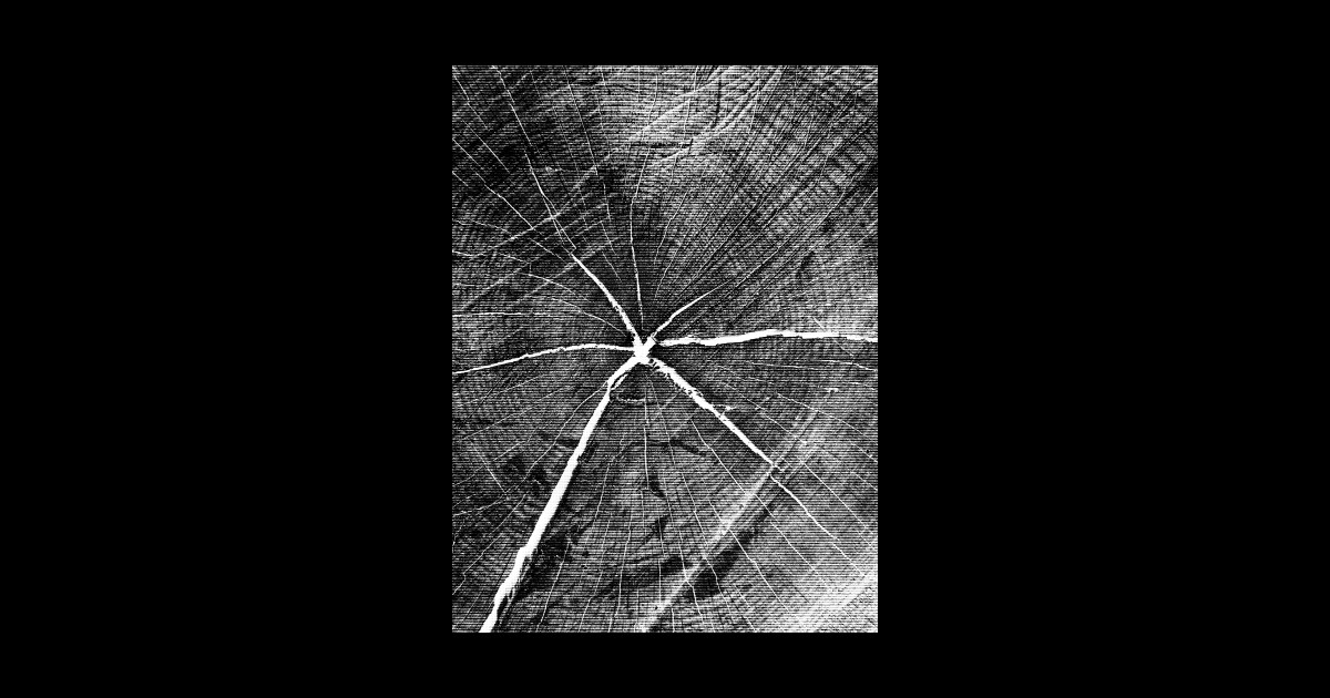 Wood Texture (White) Wood Sticker TeePublic