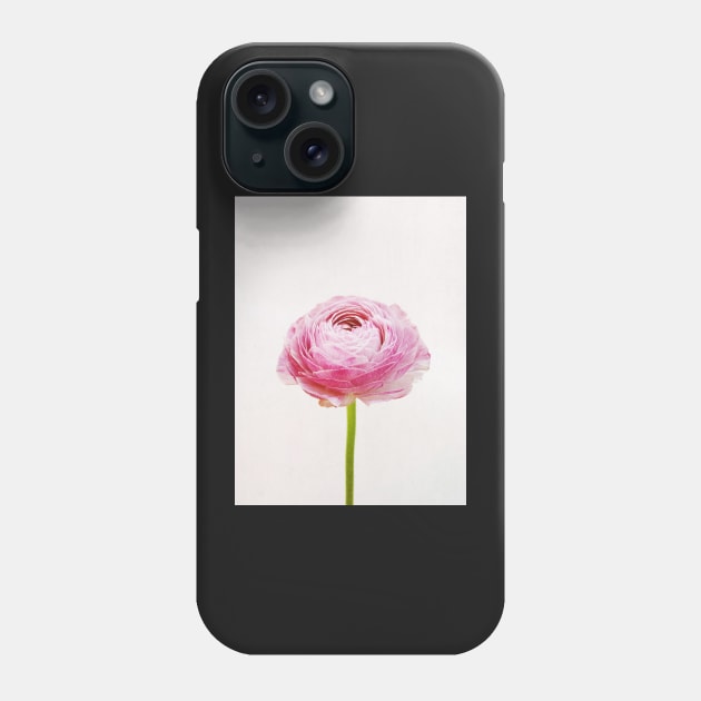 Ranunculus Phone Case by Cassia