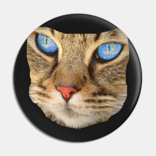 blue eyed cat Pin