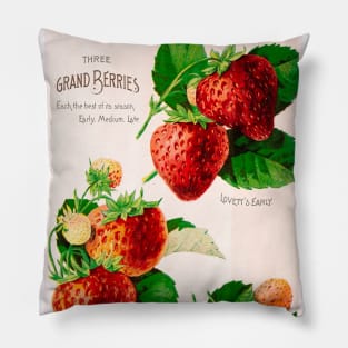 Seed Catalogue Cover Pillow