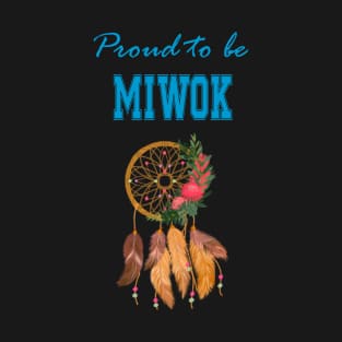 Native American Miwok Dreamcatcher 49 T-Shirt