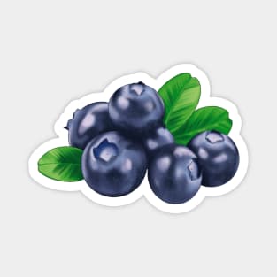 Blue Berry Magnet