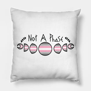 Not a Phase - Demigirl Pillow